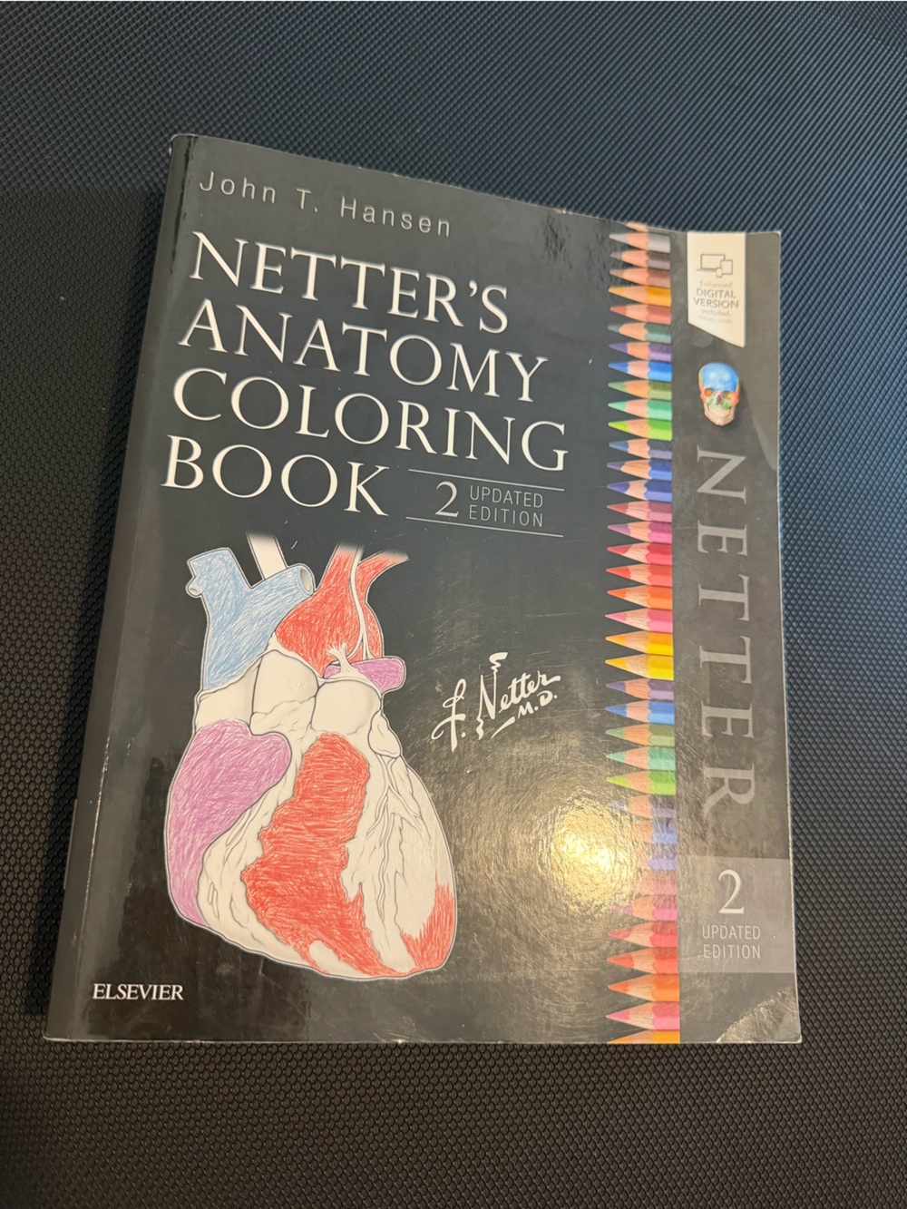 Netter's Anatomy Coloring Book 2 help learn and memorize muscles bones cells etc